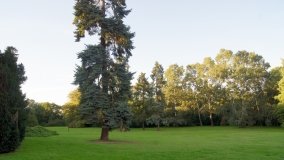 Kobylniki – pałac wzorowany na francuskim renesansie - zdjęcie 9