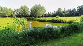 Pałac książąt von Sachsen-Altenburg w Boduszewie - zdjęcie 4