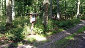 Ciencisko – miejsce masowej egzekucji z czasów II wojny światowej - zdjęcie 3