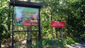 Lasy Miradzkie - pozostałości po pradawnej puszczy nadnoteckiej - zdjęcie 2