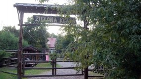 Lasy Miradzkie - pozostałości po pradawnej puszczy nadnoteckiej - zdjęcie 3