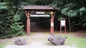 Lasy Miradzkie - pozostałości po pradawnej puszczy nadnoteckiej - zdjęcie 6