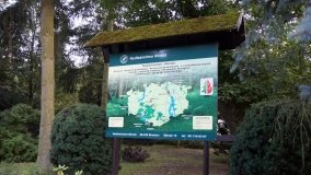 Lasy Miradzkie - pozostałości po pradawnej puszczy nadnoteckiej - zdjęcie 7