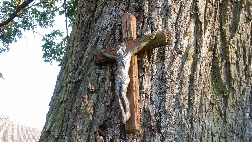 „Straszny dwór” w Karczewie - zdjęcie 1