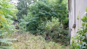 „Straszny dwór” w Karczewie - zdjęcie 6