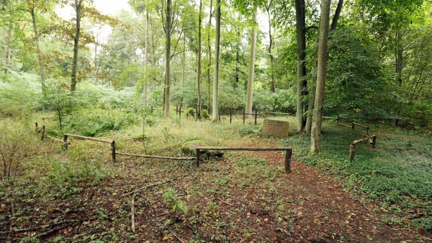 Tajemniczy cmentarz von Treskow w Wierzonce - zdjęcie 1