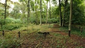 Tajemniczy cmentarz von Treskow w Wierzonce - zdjęcie 3