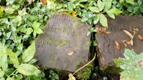 Tajemniczy cmentarz von Treskow w Wierzonce - zdjęcie 4