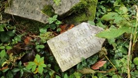 Tajemniczy cmentarz von Treskow w Wierzonce - zdjęcie 5