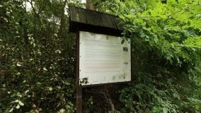 Tajemniczy cmentarz von Treskow w Wierzonce - zdjęcie 6