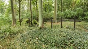 Tajemniczy cmentarz von Treskow w Wierzonce - zdjęcie 9