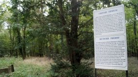 Wymysłowice – tajemnicza prywatna nekropolia w lesie „Kobylarz” - zdjęcie 3