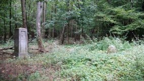 Wymysłowice – tajemnicza prywatna nekropolia w lesie „Kobylarz” - zdjęcie 5