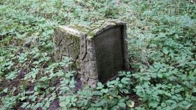 Wymysłowice – tajemnicza prywatna nekropolia w lesie „Kobylarz” - zdjęcie 6