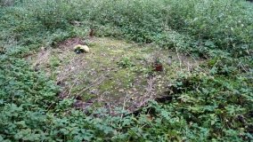 Wymysłowice – tajemnicza prywatna nekropolia w lesie „Kobylarz” - zdjęcie 7