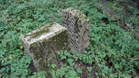 Wymysłowice – tajemnicza prywatna nekropolia w lesie „Kobylarz” - zdjęcie 13