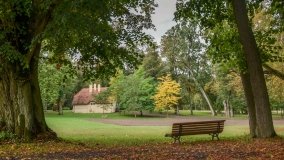 Park w Lubostroniu – zielona spuścizna Skórzewskich - zdjęcie 2