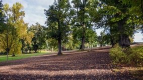 Park w Lubostroniu – zielona spuścizna Skórzewskich - zdjęcie 3