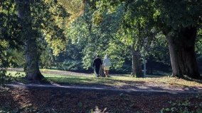 Park w Lubostroniu – zielona spuścizna Skórzewskich - zdjęcie 6