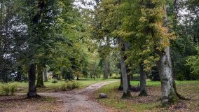 Park w Lubostroniu – zielona spuścizna Skórzewskich - zdjęcie 7
