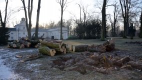 Park w Lubostroniu – zielona spuścizna Skórzewskich - zdjęcie 8