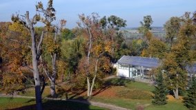 Park w Lubostroniu – zielona spuścizna Skórzewskich - zdjęcie 10