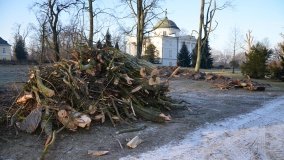 Park w Lubostroniu – zielona spuścizna Skórzewskich - zdjęcie 11