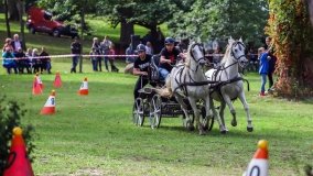Park w Lubostroniu – zielona spuścizna Skórzewskich - zdjęcie 17
