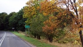 Iwno – stadnina o filmowej sławie - zdjęcie 4