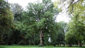 Iwno – stadnina o filmowej sławie - zdjęcie 20