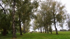 Iwno – stadnina o filmowej sławie - zdjęcie 21