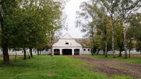 Iwno – stadnina o filmowej sławie - zdjęcie 24