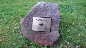 Iwno – stadnina o filmowej sławie - zdjęcie 41