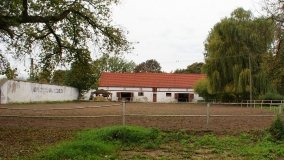 Iwno – stadnina o filmowej sławie - zdjęcie 31