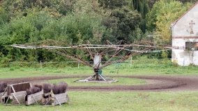 Iwno – stadnina o filmowej sławie - zdjęcie 29