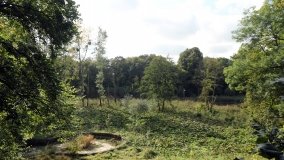 „Znikający” pałac w Nieszawie - zdjęcie 5