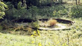 „Znikający” pałac w Nieszawie - zdjęcie 6