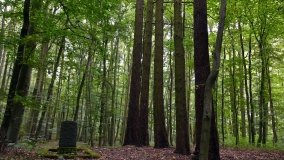 Uroczysko Skorzęcin z duchem leśniczego - zdjęcie 3