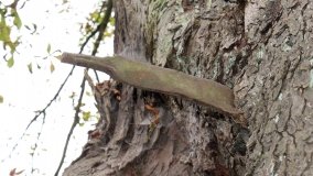 Dwór w Pawłowie Skockim, który straszy… - zdjęcie 2