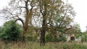 Dwór w Pawłowie Skockim, który straszy… - zdjęcie 6