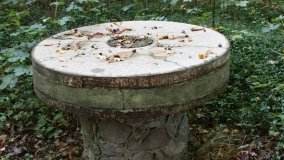 Rościnno – wieś z błędem Jana Długosza - zdjęcie 14