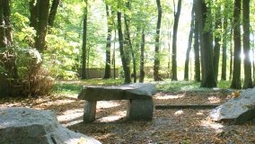 Rościnno – wieś z błędem Jana Długosza - zdjęcie 15