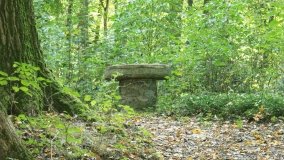 Rościnno – wieś z błędem Jana Długosza - zdjęcie 19