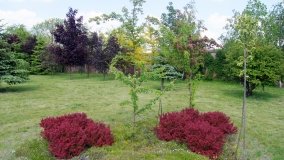 Park i ogrody norbertańskie w Strzelnie - zdjęcie 2