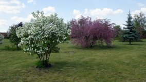 Park i ogrody norbertańskie w Strzelnie - zdjęcie 3