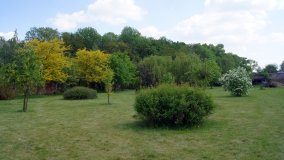 Park i ogrody norbertańskie w Strzelnie - zdjęcie 4