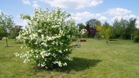 Park i ogrody norbertańskie w Strzelnie - zdjęcie 8