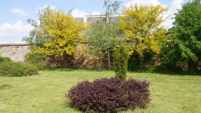 Park i ogrody norbertańskie w Strzelnie - zdjęcie 9