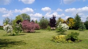 Park i ogrody norbertańskie w Strzelnie - zdjęcie 10