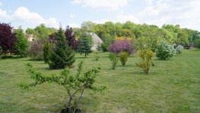 Park i ogrody norbertańskie w Strzelnie - zdjęcie 13